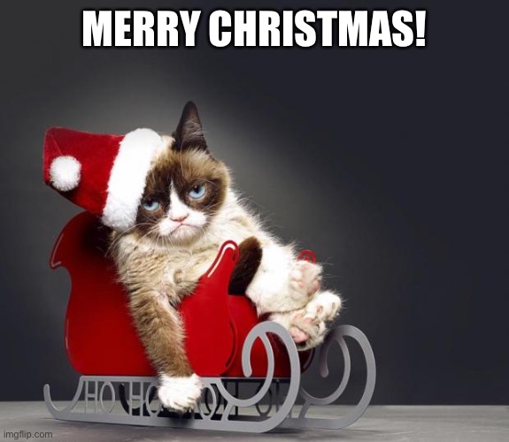Christmas! |  MERRY CHRISTMAS! | image tagged in grumpy cat christmas hd | made w/ Imgflip meme maker