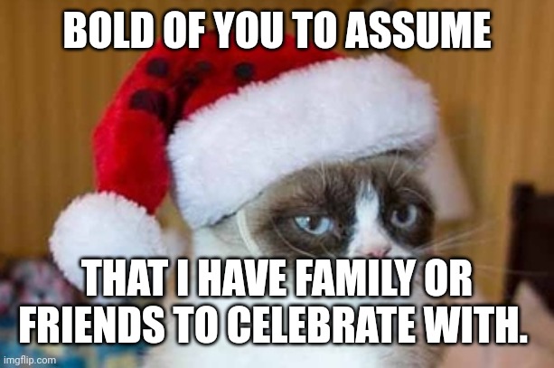 Grumpy Cat Christmas | BOLD OF YOU TO ASSUME THAT I HAVE FAMILY OR FRIENDS TO CELEBRATE WITH. | image tagged in grumpy cat christmas | made w/ Imgflip meme maker
