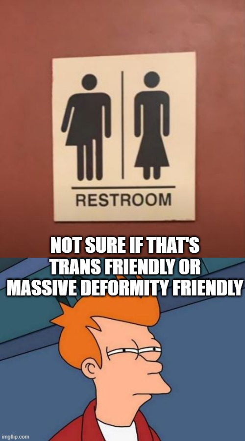 What kind of Bathroom? | NOT SURE IF THAT'S TRANS FRIENDLY OR MASSIVE DEFORMITY FRIENDLY | image tagged in memes,futurama fry | made w/ Imgflip meme maker