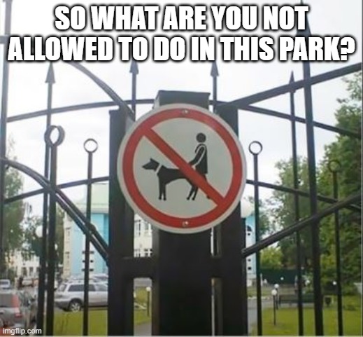 No What? | SO WHAT ARE YOU NOT ALLOWED TO DO IN THIS PARK? | image tagged in you had one job | made w/ Imgflip meme maker