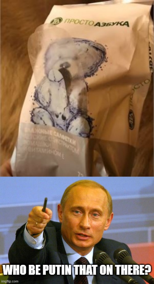In Mother Russia, Bear Horny for You | WHO BE PUTIN THAT ON THERE? | image tagged in memes,good guy putin | made w/ Imgflip meme maker