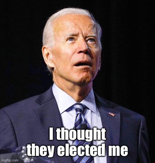 Joe Biden | I thought they elected me | image tagged in joe biden | made w/ Imgflip meme maker