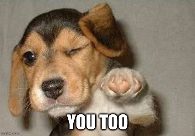 Winking Dog | YOU TOO | image tagged in winking dog | made w/ Imgflip meme maker