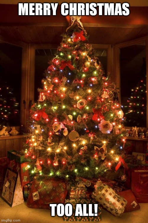 Christmas Tree | MERRY CHRISTMAS; TOO ALL! | image tagged in christmas tree | made w/ Imgflip meme maker