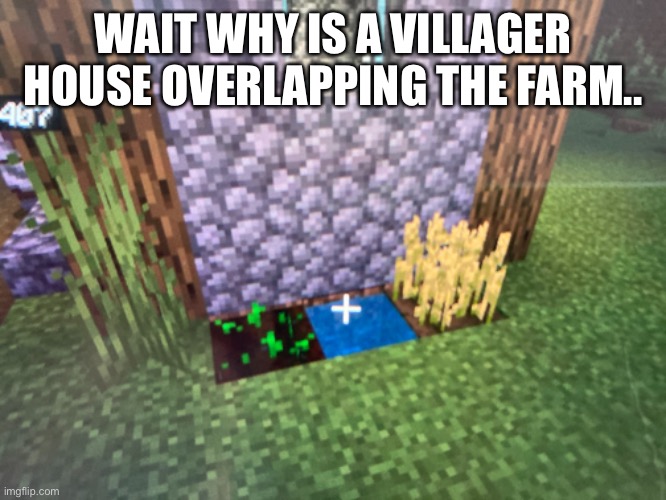TF IS THIS?!?! | WAIT WHY IS A VILLAGER HOUSE OVERLAPPING THE FARM.. | image tagged in gaming | made w/ Imgflip meme maker