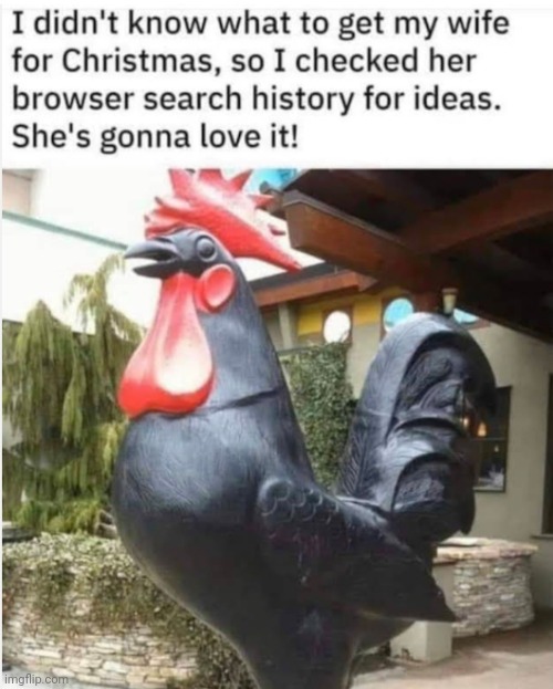 image tagged in funny memes | made w/ Imgflip meme maker