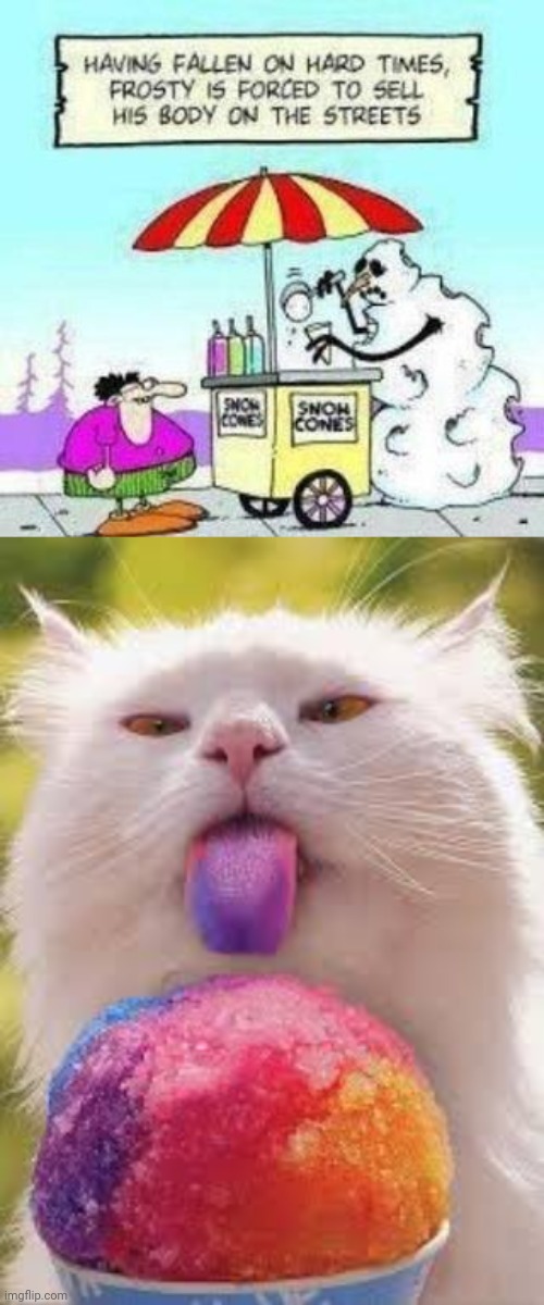 Frosty Snowcones | image tagged in snowcone cat,frosty the snowman,frosty,memes,comics/cartoons,comics | made w/ Imgflip meme maker