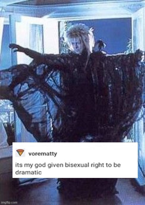 that was a good movie | image tagged in labyrinth,bisexual | made w/ Imgflip meme maker