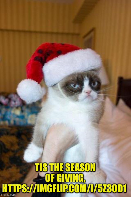 Please give it an upvote! https://imgflip.com/i/5z30d1 | TIS THE SEASON OF GIVING, HTTPS://IMGFLIP.COM/I/5Z30D1 | image tagged in memes,grumpy cat christmas,grumpy cat | made w/ Imgflip meme maker