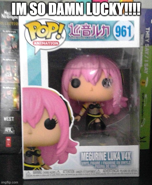 YO I got this for Xmas!! | IM SO DAMN LUCKY!!!! | image tagged in vocaloid,xmas | made w/ Imgflip meme maker