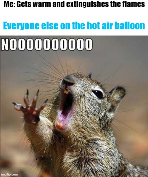 Come On Baby Light My Fire | Me: Gets warm and extinguishes the flames; Everyone else on the hot air balloon | image tagged in funny memes,squirrel,hot air balloon | made w/ Imgflip meme maker