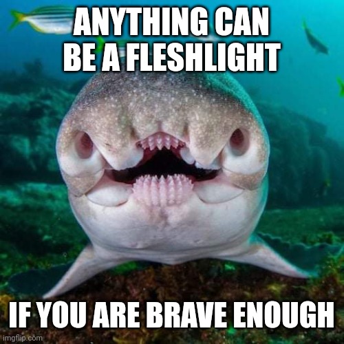 Brave fleshlught | ANYTHING CAN BE A FLESHLIGHT; IF YOU ARE BRAVE ENOUGH | image tagged in brave,fleshlight,funny,weird | made w/ Imgflip meme maker