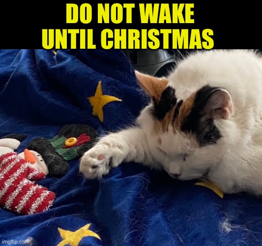 DO NOT WAKE UNTIL CHRISTMAS | made w/ Imgflip meme maker
