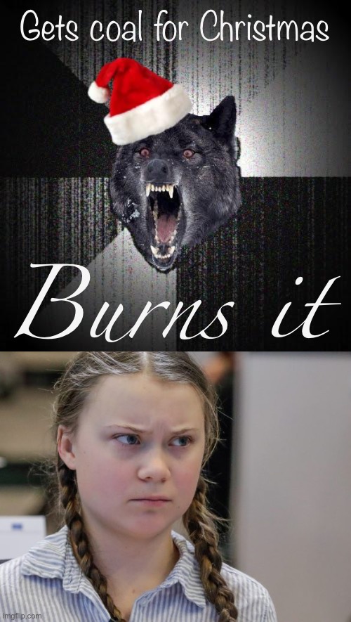 Gets coal for Christmas; Burns it | image tagged in christmas insanity wolf,pissedoff greta | made w/ Imgflip meme maker