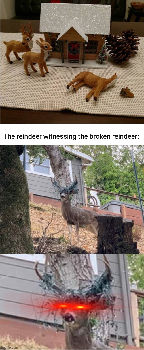 Failed set: Broken reindeer | The reindeer witnessing the broken reindeer: | image tagged in reindeer revenge,reindeer,you had one job,broken,memes,merry christmas | made w/ Imgflip meme maker