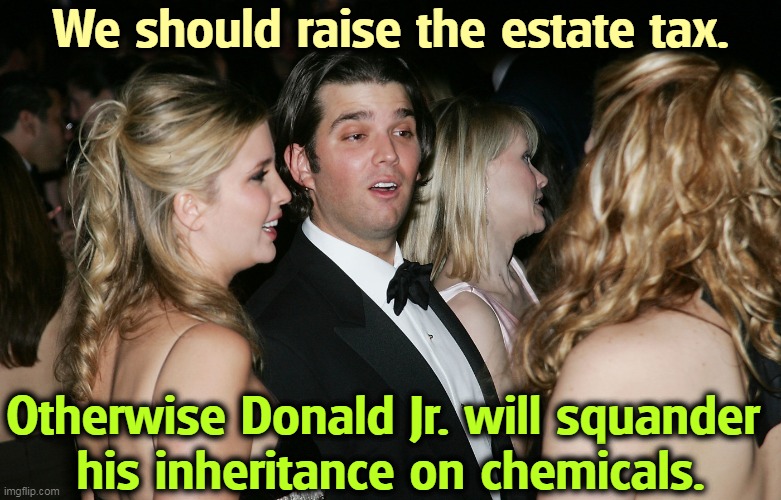 Pills run in the family. | We should raise the estate tax. Otherwise Donald Jr. will squander 
his inheritance on chemicals. | image tagged in donald trump junior high as a kite,trump,junior,drugs,pills | made w/ Imgflip meme maker