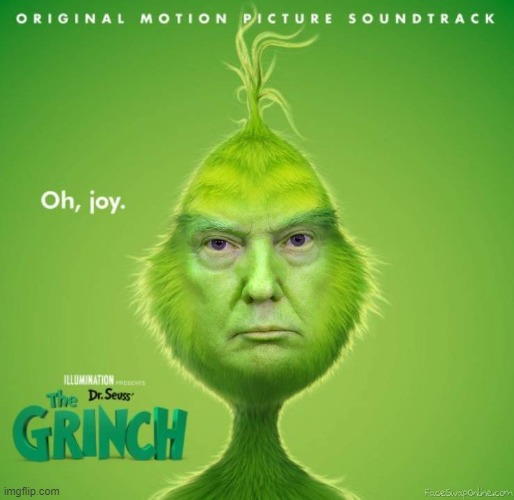 :D | image tagged in donald trump,grinch | made w/ Imgflip meme maker