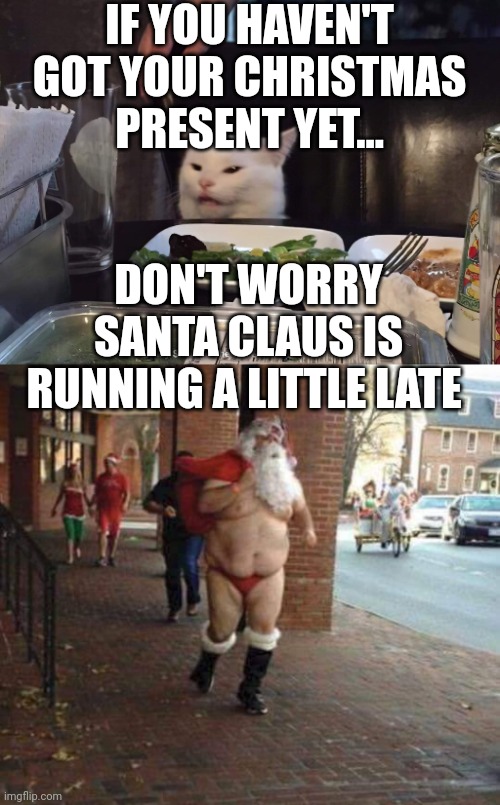 IF YOU HAVEN'T GOT YOUR CHRISTMAS PRESENT YET... DON'T WORRY SANTA CLAUS IS RUNNING A LITTLE LATE | image tagged in smudge the cat | made w/ Imgflip meme maker