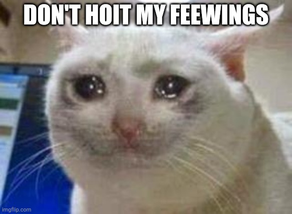 Sad cat | DON'T HOIT MY FEEWINGS | image tagged in sad cat | made w/ Imgflip meme maker