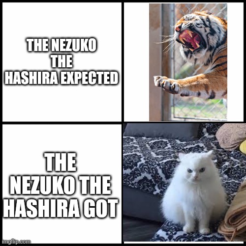 What the Hashira expected vs what they got | THE NEZUKO THE HASHIRA EXPECTED; THE NEZUKO THE HASHIRA GOT | image tagged in blank drake format,nezuko,demon slayer | made w/ Imgflip meme maker