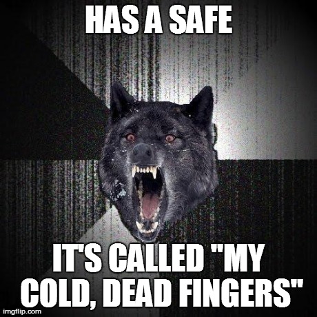 My response when people ask me if I have a safe... | HAS A SAFE IT'S CALLED "MY COLD, DEAD FINGERS" | image tagged in insanity wolf,memes | made w/ Imgflip meme maker