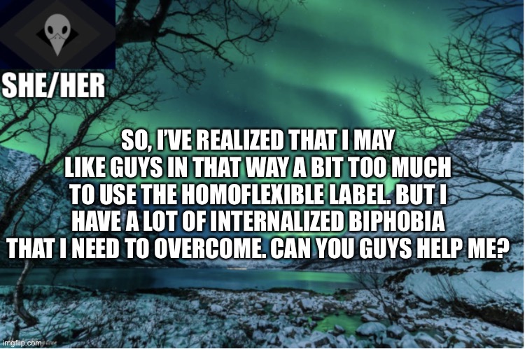 Northern Lights Termcollector Template | SO, I’VE REALIZED THAT I MAY LIKE GUYS IN THAT WAY A BIT TOO MUCH TO USE THE HOMOFLEXIBLE LABEL. BUT I HAVE A LOT OF INTERNALIZED BIPHOBIA THAT I NEED TO OVERCOME. CAN YOU GUYS HELP ME? | image tagged in northern lights termcollector template | made w/ Imgflip meme maker