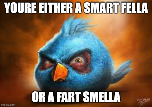 i dont care i wanted to make this please dont bombard the comments saying "RePoSt" | YOURE EITHER A SMART FELLA; OR A FART SMELLA | image tagged in angry birds,farts,smart | made w/ Imgflip meme maker