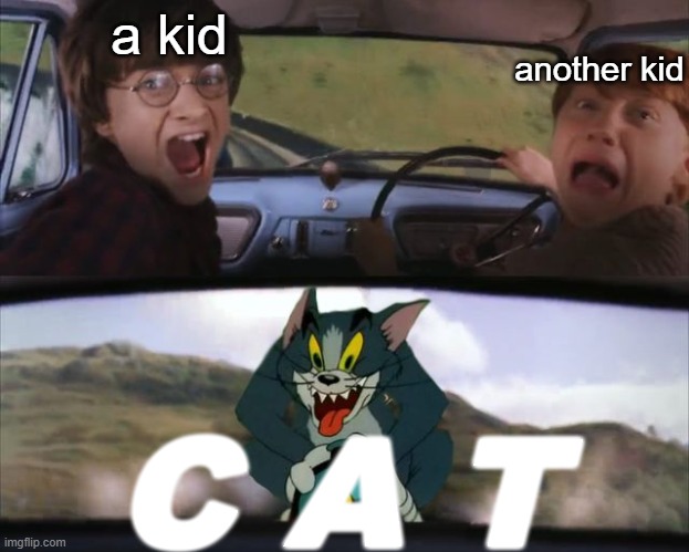 Harry Potter Tom cat meme | a kid; another kid; C A T | image tagged in harry potter tom cat meme,funny | made w/ Imgflip meme maker