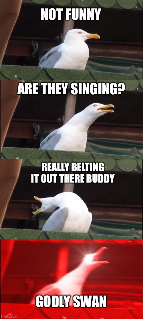 It’s definitely a Swan... | NOT FUNNY; ARE THEY SINGING? REALLY BELTING IT OUT THERE BUDDY; GODLY SWAN | image tagged in memes,inhaling seagull | made w/ Imgflip meme maker