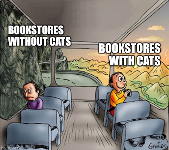 Bookstores and Cats | BOOKSTORES WITHOUT CATS; BOOKSTORES WITH CATS | image tagged in two guys on a bus,cat,books | made w/ Imgflip meme maker