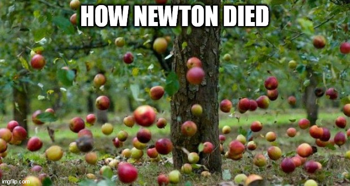 Apples |  HOW NEWTON DIED | image tagged in apples | made w/ Imgflip meme maker