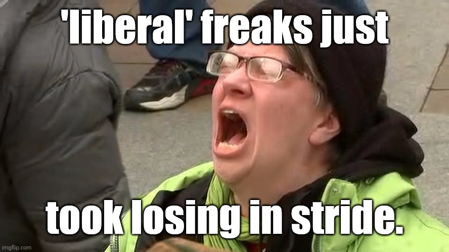 'liberal' 'adults' scream at the sky | 'liberal' freaks just took losing in stride. | image tagged in 'liberal' 'adults' scream at the sky | made w/ Imgflip meme maker