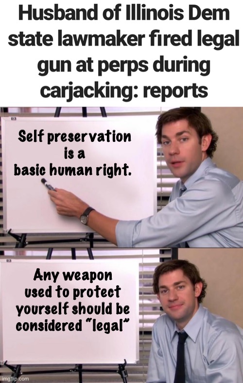 You shouldn’t need permission from the crown to protect yourself. | Self preservation is a basic human right. Any weapon used to protect yourself should be considered “legal” | image tagged in jim halpert explains,politics lol,memes | made w/ Imgflip meme maker