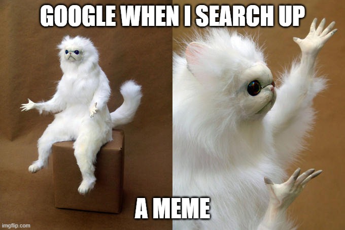 Persian Cat Room Guardian |  GOOGLE WHEN I SEARCH UP; A MEME | image tagged in memes,persian cat room guardian | made w/ Imgflip meme maker