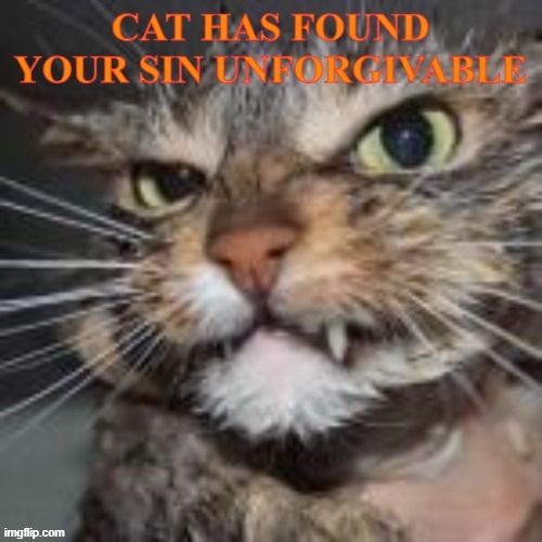 Cat has found your sin unforgivable | image tagged in cat has found your sin unforgivable | made w/ Imgflip meme maker