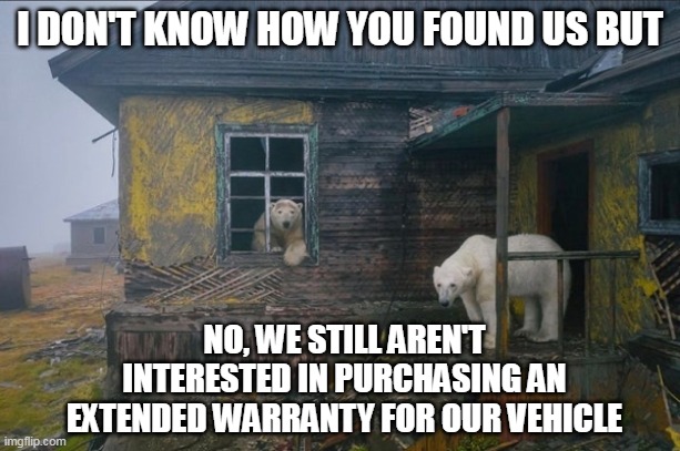 NO SALE | I DON'T KNOW HOW YOU FOUND US BUT; NO, WE STILL AREN'T INTERESTED IN PURCHASING AN EXTENDED WARRANTY FOR OUR VEHICLE | image tagged in extended warranty,car insurance,polar bear | made w/ Imgflip meme maker