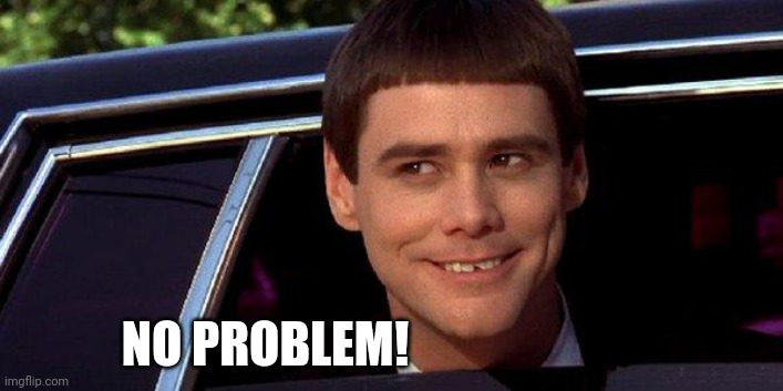 dumb and dumber | NO PROBLEM! | image tagged in dumb and dumber | made w/ Imgflip meme maker