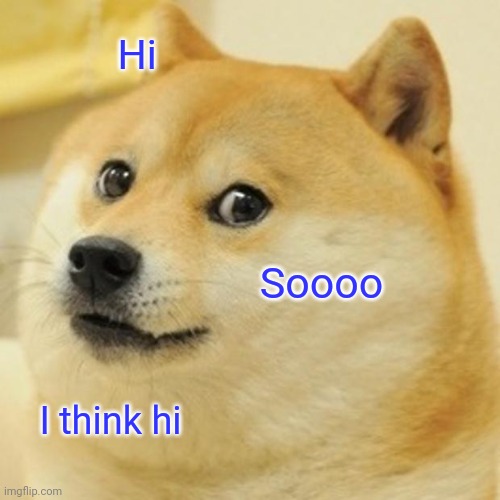 Umm hi | Hi; Soooo; I think hi | image tagged in memes,doge | made w/ Imgflip meme maker