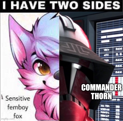 Badassery and femboys are things I have a crush for. | COMMANDER THORN | image tagged in furry memes,furry,the furry fandom,badass | made w/ Imgflip meme maker