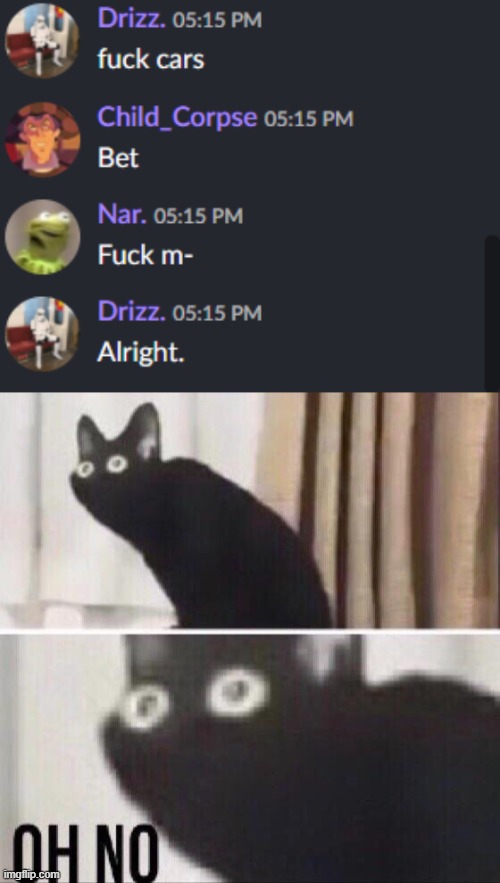 image tagged in oh no cat | made w/ Imgflip meme maker