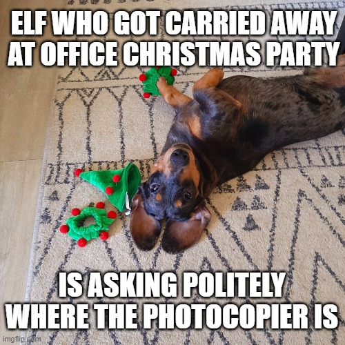 Elf | ELF WHO GOT CARRIED AWAY AT OFFICE CHRISTMAS PARTY; IS ASKING POLITELY WHERE THE PHOTOCOPIER IS | image tagged in elf,christmas | made w/ Imgflip meme maker