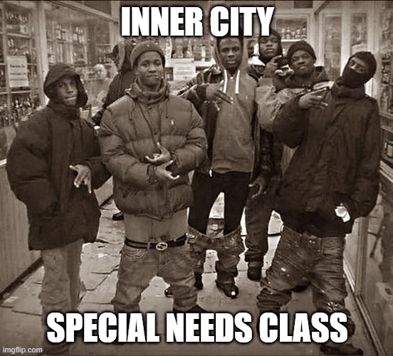 All My Homies Hate | INNER CITY; SPECIAL NEEDS CLASS | image tagged in all my homies hate | made w/ Imgflip meme maker