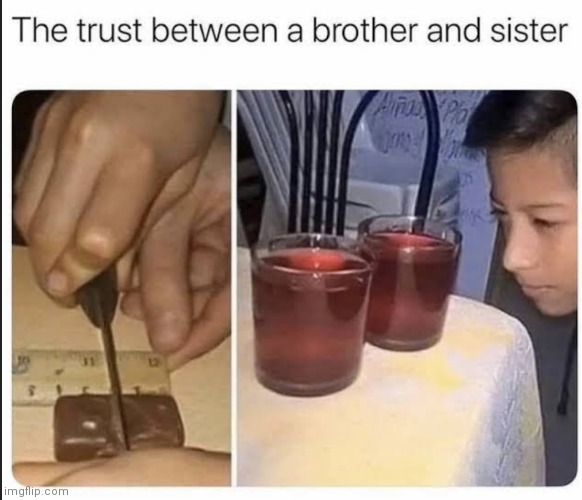 image tagged in memes,siblings,brother,sister | made w/ Imgflip meme maker