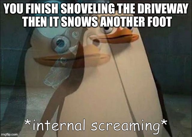 Kids when it snows | YOU FINISH SHOVELING THE DRIVEWAY
 THEN IT SNOWS ANOTHER FOOT | image tagged in private internal screaming,funny,snow | made w/ Imgflip meme maker