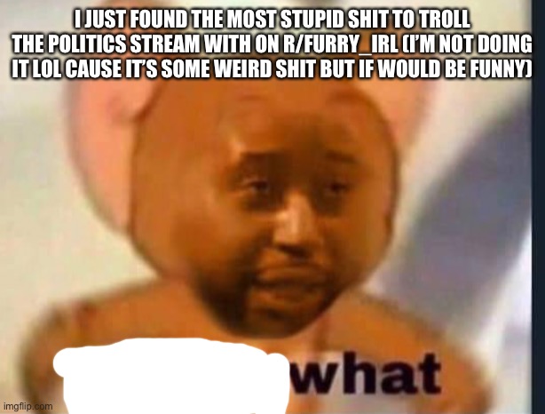 If you want me to show you the post, I can.. | I JUST FOUND THE MOST STUPID SHIT TO TROLL THE POLITICS STREAM WITH ON R/FURRY_IRL (I’M NOT DOING IT LOL CAUSE IT’S SOME WEIRD SHIT BUT IF WOULD BE FUNNY) | made w/ Imgflip meme maker