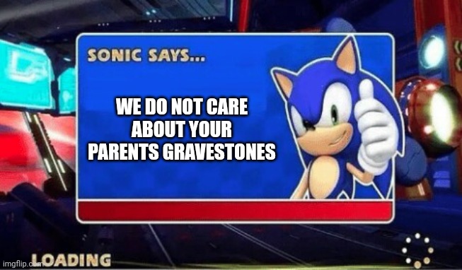 no | WE DO NOT CARE ABOUT YOUR PARENTS GRAVESTONES | image tagged in sonic says | made w/ Imgflip meme maker