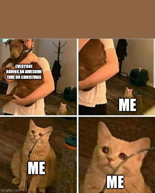 Sad Cat Holding Dog | EVERYONE HAVING AN AWESOME TIME ON CHRISTMAS; ME; ME; ME | image tagged in sad cat holding dog | made w/ Imgflip meme maker