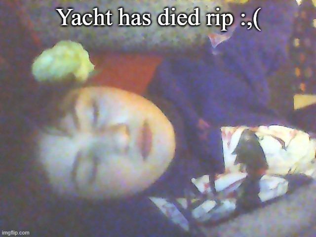 Not clickbait! Gone sexual! | Yacht has died rip :,( | made w/ Imgflip meme maker