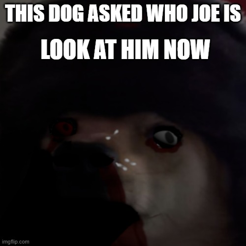 LOOK AT HIM NOW; THIS DOG ASKED WHO JOE IS | made w/ Imgflip meme maker