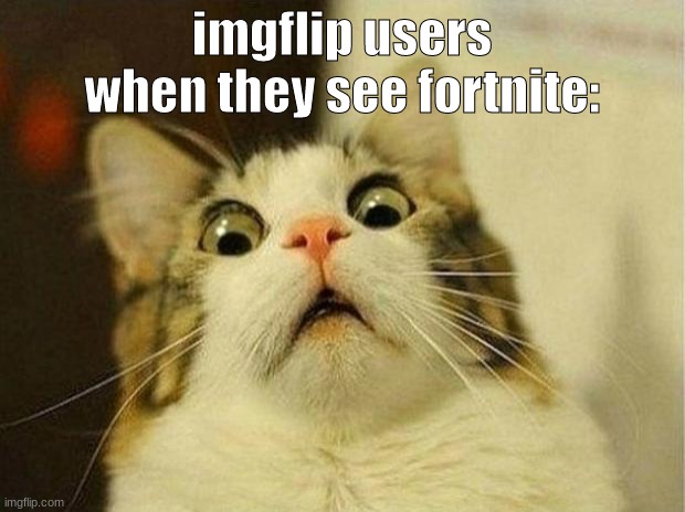 Just Stop let fortnite exist | imgflip users when they see fortnite: | image tagged in memes,scared cat | made w/ Imgflip meme maker
